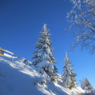 Winter Wandern Pf__nder-Tr__gen 27-12-2013 _30_.jpg