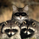 Dreht Euch bloß nicht um, ich bin eine von Euch. Ehrlich!