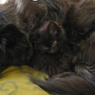 Auch keine schlechte Idee.