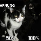 Eine hat's kapiert. Die andere...