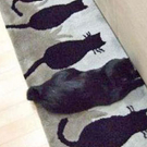 Sogar auf den richtigen Abstand geachtet. Respekt!