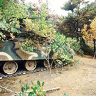 Klar, macht Sinn. Die Zweiglein verstecken den 50 Tonnen-Panzer ja wirklich perfekt. 