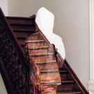 Jetzt nur nicht bewegen...