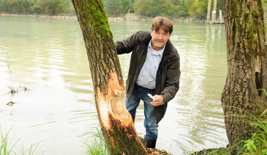 Walter Niederer 09-10-2013 32.jpg