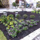 sm_gemeinde_blumen06_JPG-1269963988