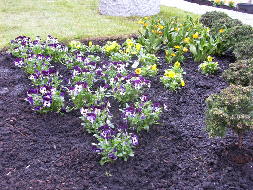 sm_gemeinde_blumen08_JPG-1269964011