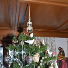 DSC_2833.jpg