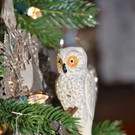 DSC_2879.jpg