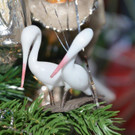 DSC_2883.jpg