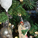 DSC_2884.jpg
