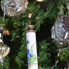 DSC_2886.jpg