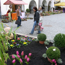 sm_gemeinde_blumen10_JPG-1269964032