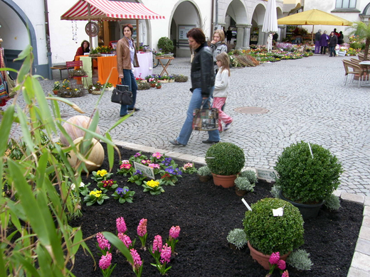 sm_gemeinde_blumen10_JPG-1269964032