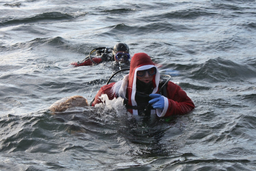cbv2013_016.JPG