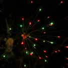IMG_6279.jpg