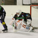 IMG_6527.jpg
