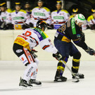 IMG_6739.jpg