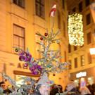 Wiener Silvesterpfad 2013
