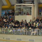 IMG_5919.jpg