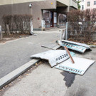 DSC07381.jpg