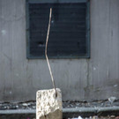 DSC07401.jpg