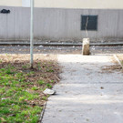 DSC07403.jpg