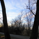 100_5823_jpg-1269988284