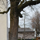 Denkmal NS-Opfer Lustenau 011-1.jpg