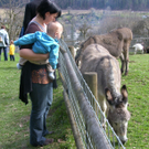 sm_gemeinde_kiosk15_JPG-1270023641