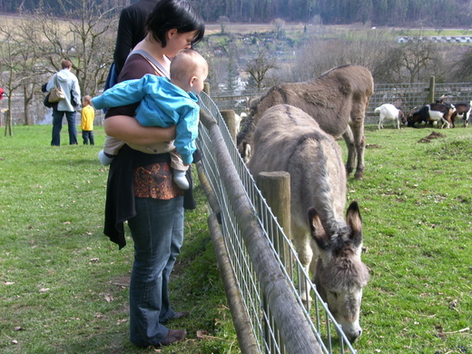 sm_gemeinde_kiosk15_JPG-1270023641