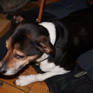 DSC02929.jpg