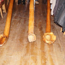 DSC02950.jpg