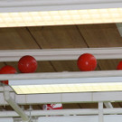 IMG_8584.jpg