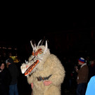 DSC_0510.JPG