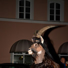DSC_0515.JPG