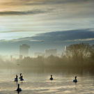 3469_ueber_die_donau5.jpg