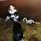 Ostern 2010 004.JPG