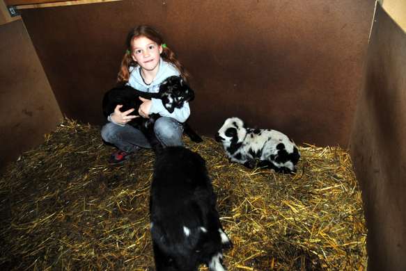 Ostern 2010 004.JPG