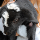 Ostern 2010 009.JPG