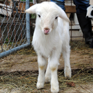 Ostern 2010 014.JPG