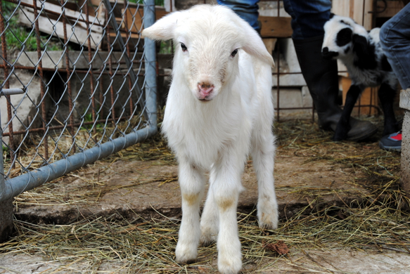 Ostern 2010 014.JPG
