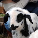 Ostern 2010 015.JPG