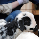 Ostern 2010 016.JPG