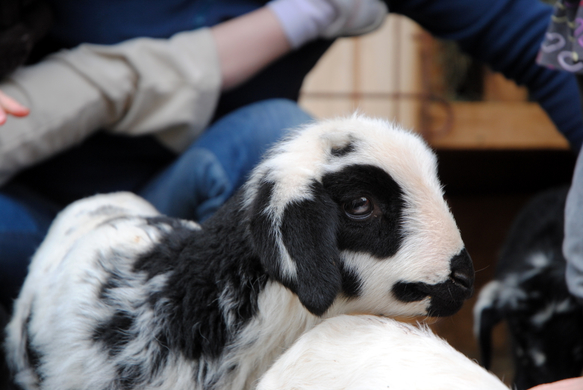 Ostern 2010 016.JPG