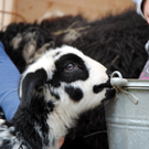 Ostern 2010 017.JPG