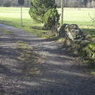 DSCN1902.JPG