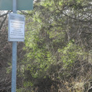 DSCN1901.JPG
