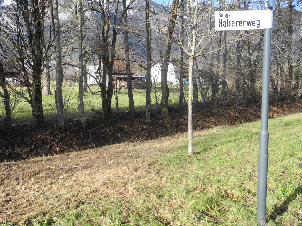 DSCN1917.JPG