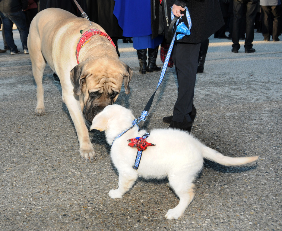 Wagenweihe 2014 199.jpg