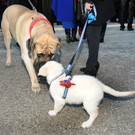 Wagenweihe 2014 199.jpg